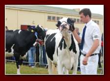 Clonakilty  Agricultural Show